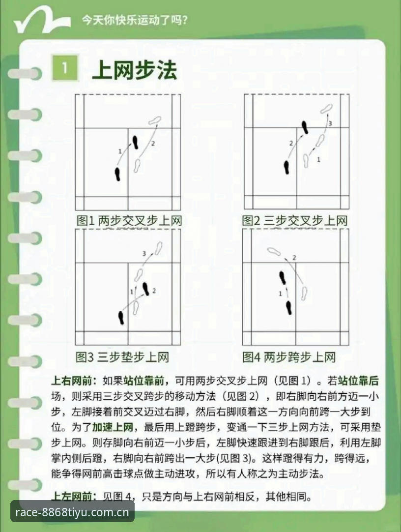 2026体育移动端实用指南：8868体育A7Z2版必备操作手册